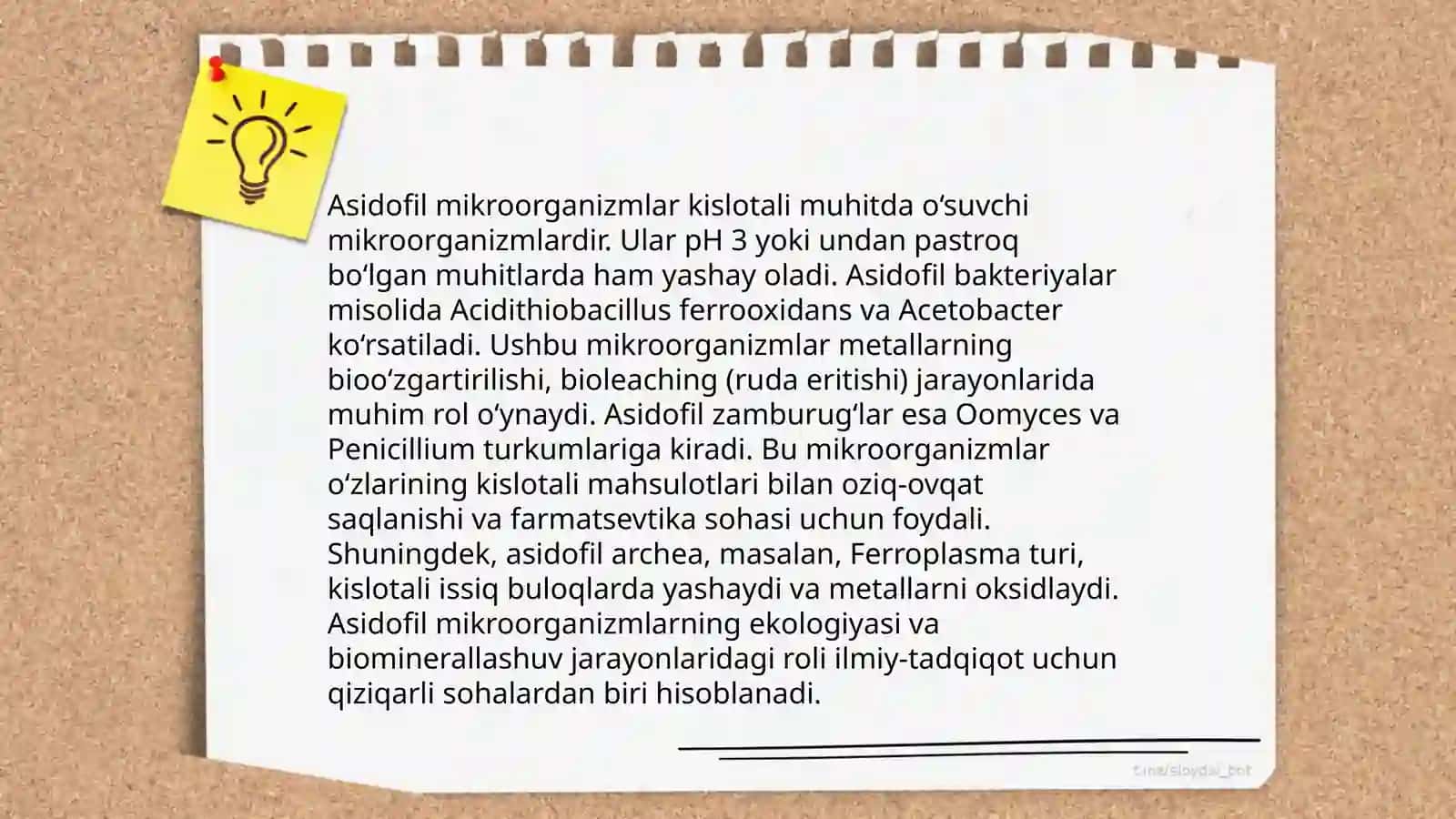 Ekstremofil mikroorganizmlar 4