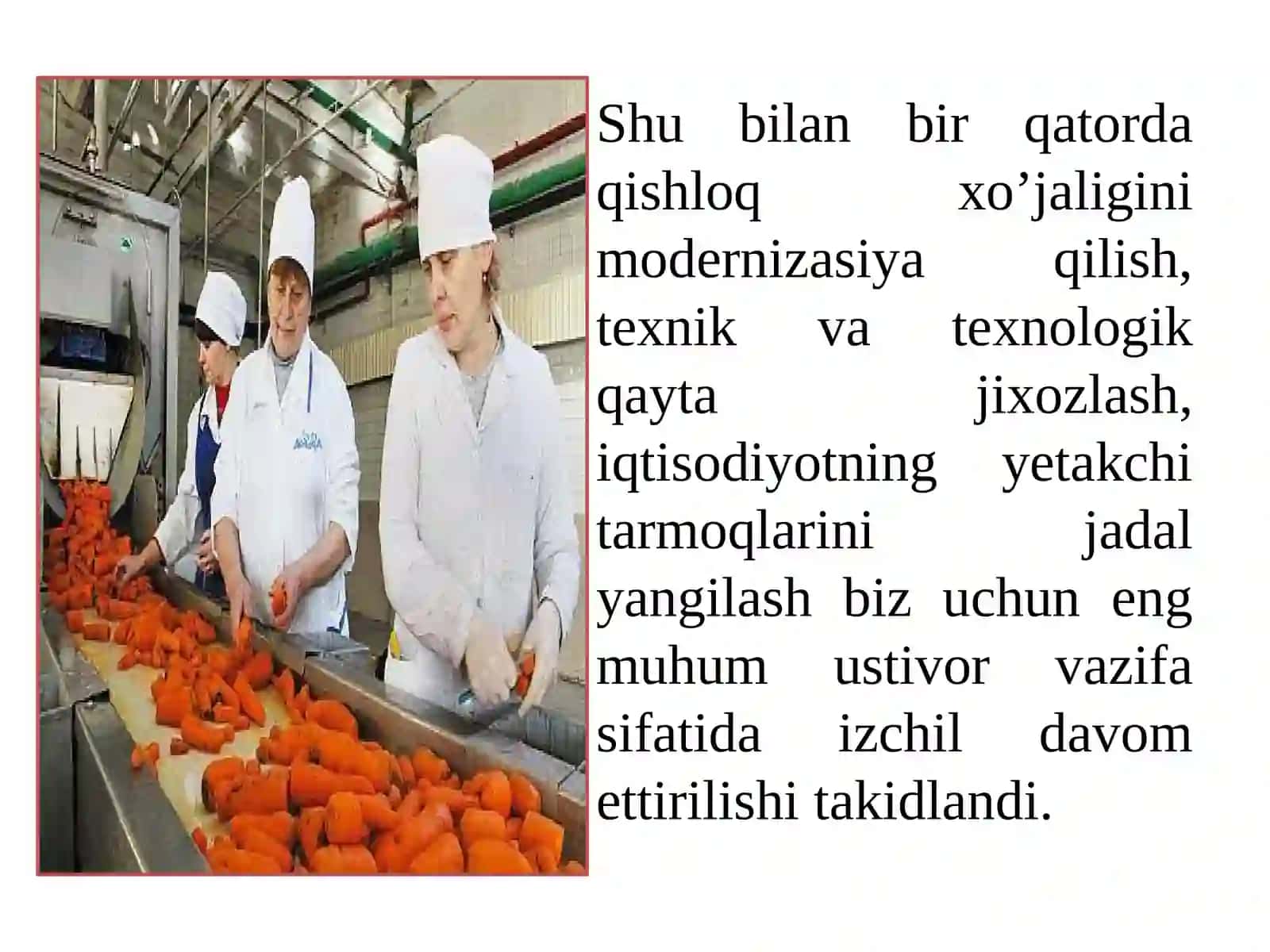 QISHLOQ XO’JALIK MAHSULOTLARI SAQLASH VA QAYTA ISHLASH TEXNOLOGIYASI 4
