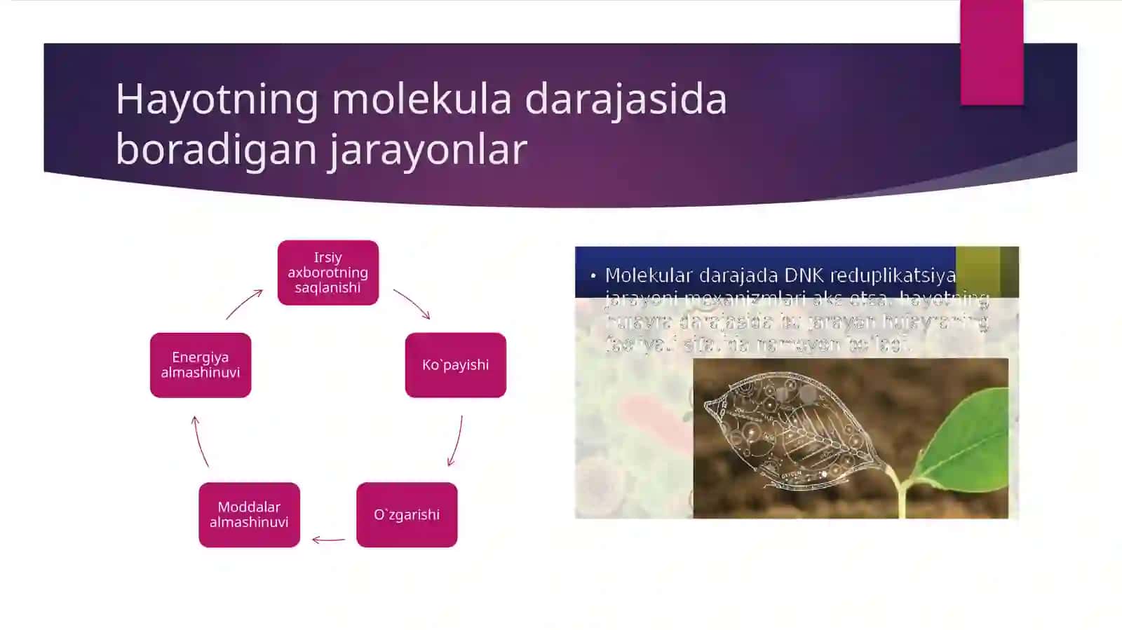 Tiriklikning tuzilish darajalari 4