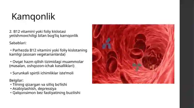 Kamqonlikning rivojlanishining biokimyoviy mexanizmlari 4