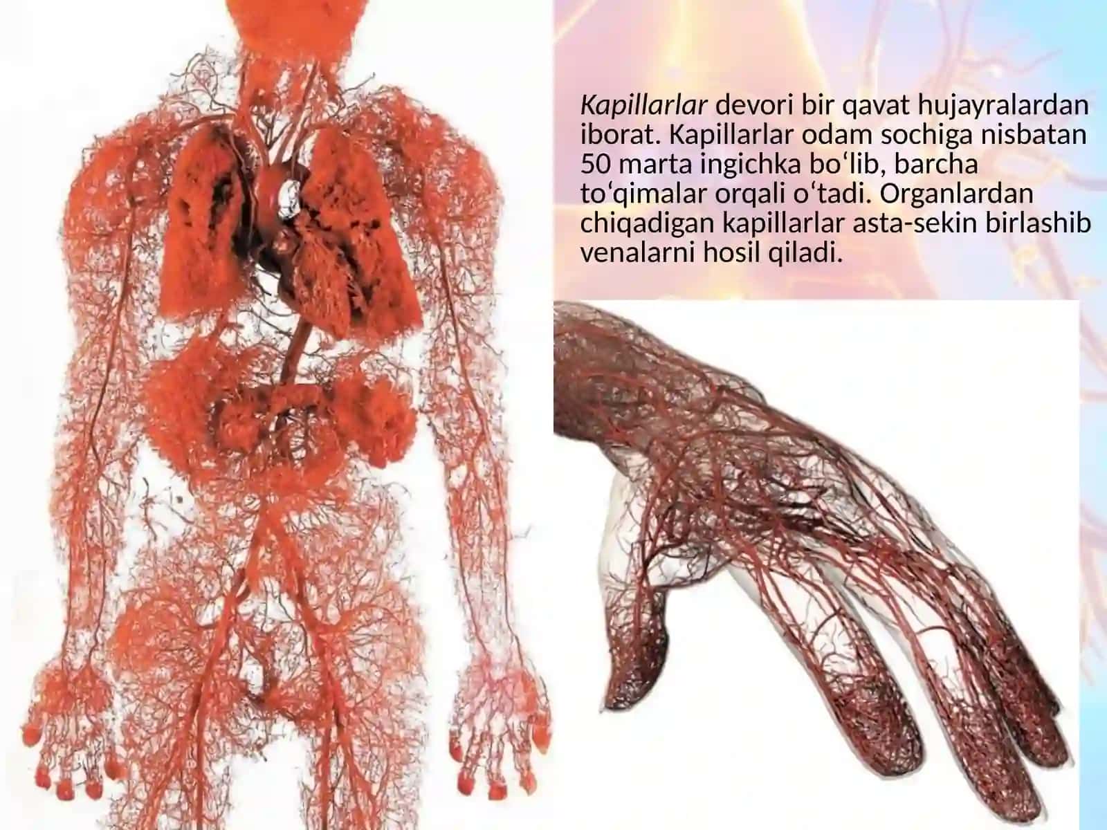 Odam va uning salomatligi 4