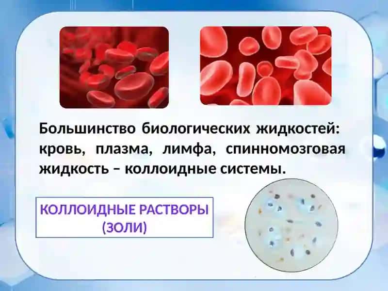 Коллоидные системы в биологии и медицине 4