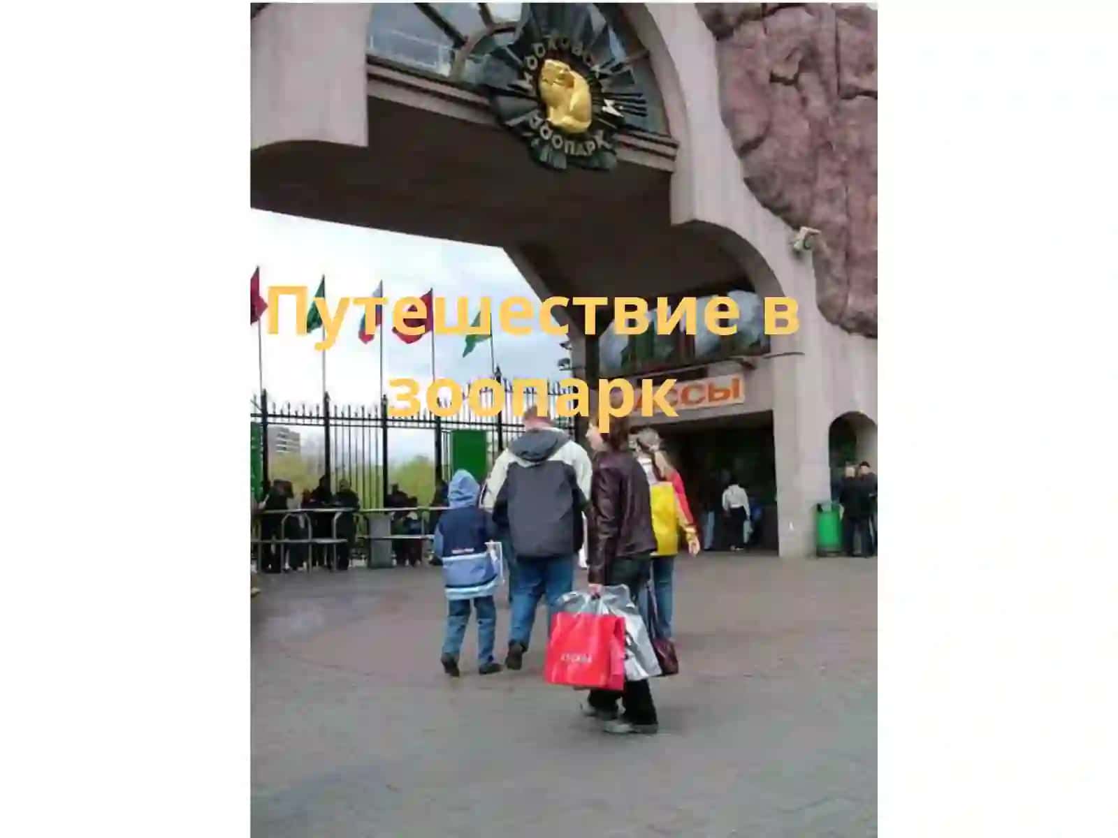 Путешествие в зоопарк 4