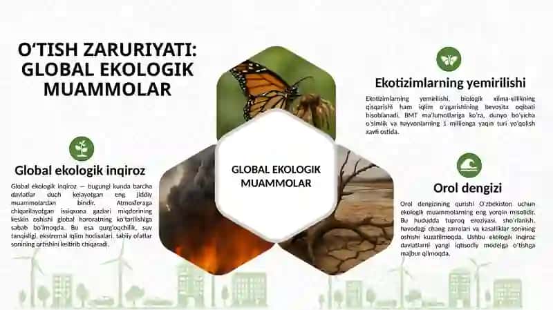 Yashil iqtisodiyotga o'tish zaruriyati, tamoyillari va dastaklari 4