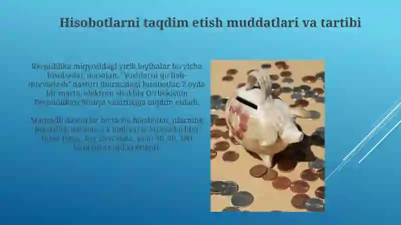 Davlat byudjeti bajarilishining davriy hisobotlarini shakllantirish 4