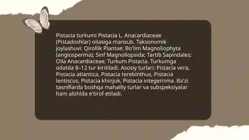 Pistadoshlar oilasi. Pista turkumi 4
