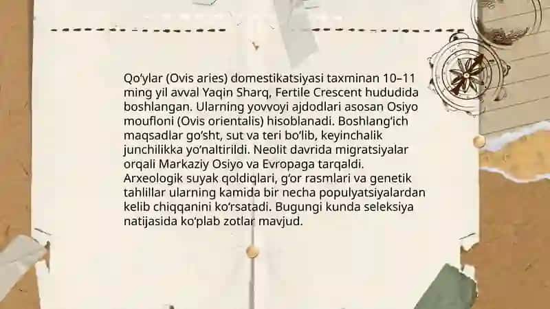 Ovil xójalikning hayvonlari kelib chiqshi va rivojlanish tarixi 4