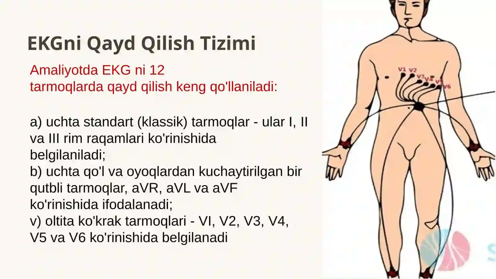 Elektrokardiografiya 4