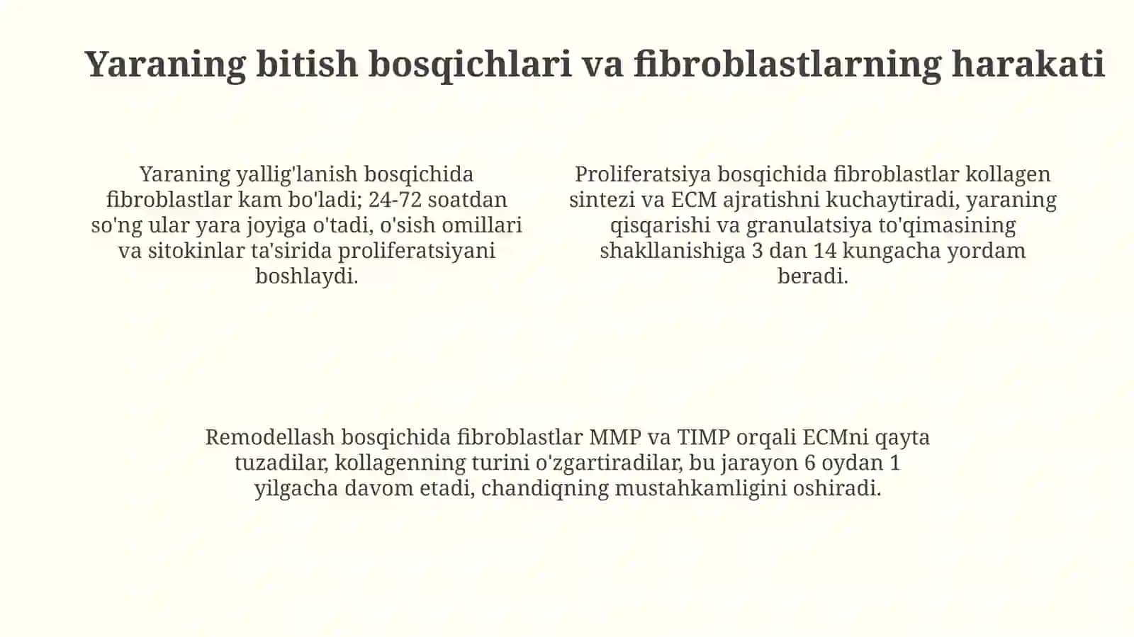 Fibroblastlarning jarohatning bitishi va chandiq hosil bo'lishidagi roli 4