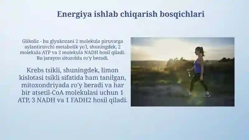 Metabolizm jarayonida energiya hosil bo'ilish va sarflanishi 4