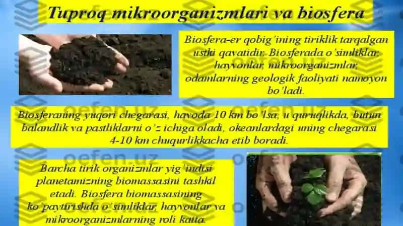 Havo muhitga mikroorganizmlarning tarqalishi 4