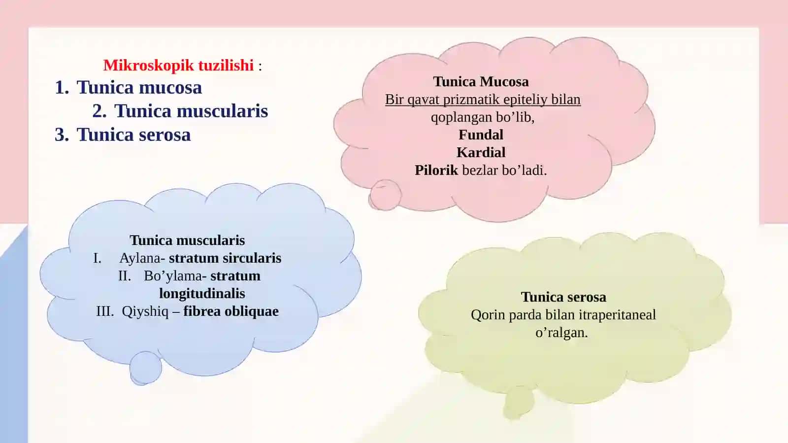 Taqdimot ; PPT; Terapiya ; ik 4