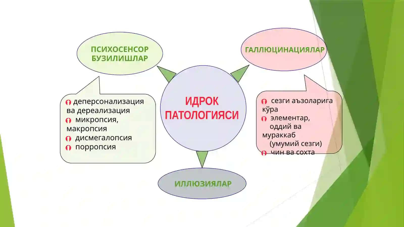 Idrok va sezgi patologiyasi 4