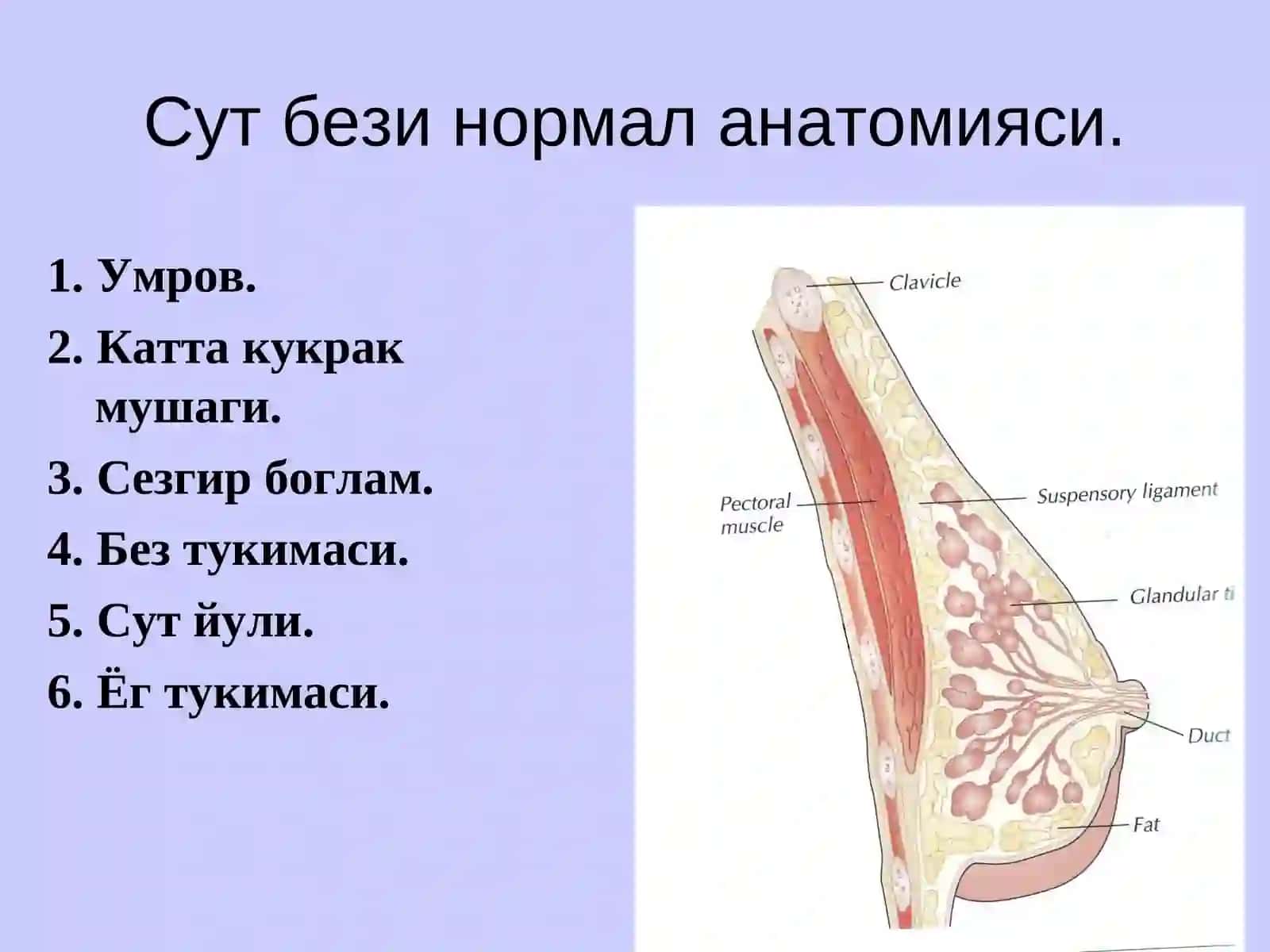 СУТ БЕЗИ САРАТОНИ 4