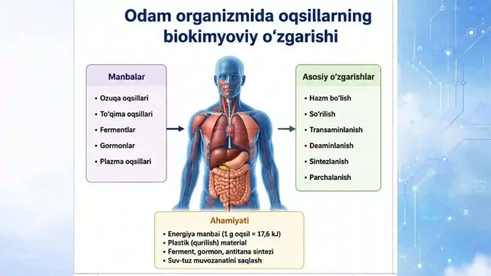 Odam organizmida oqsillarning biokimyoviy o‘zgarishi. 4