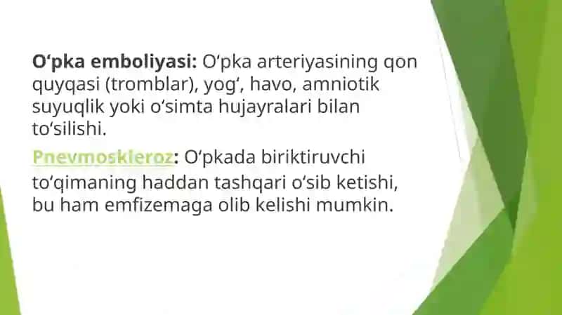 Oʻpkapatologiyasi 4