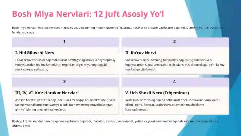 sezuv va harakatlanuvchi yollar 4
