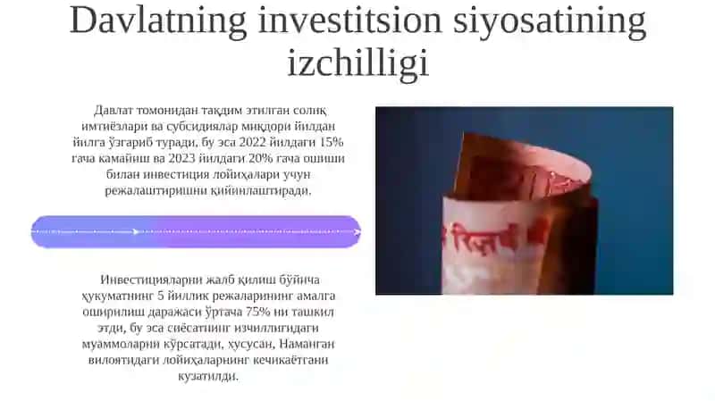 Investitsiyalarni davlat tomonidan qo'llab-quvvatlash masalalari 4