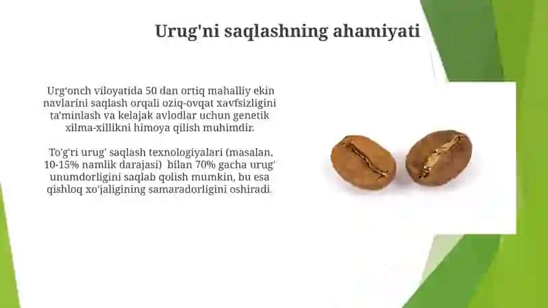 Navdor urugʻlarni saqlash va hujjatlashtirish 4