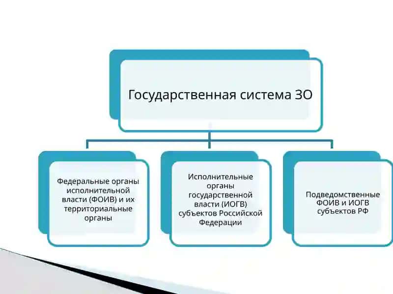 Организация управления фармацевтическими организациями 4