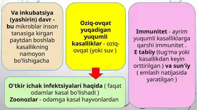 ichakning zoonoz kasalliklari 4