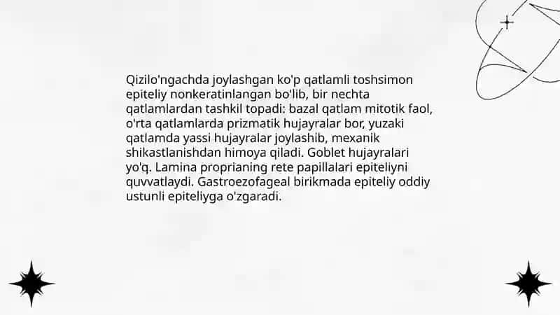 Me'da qizilo'ngach ichak gistologiyasi 4