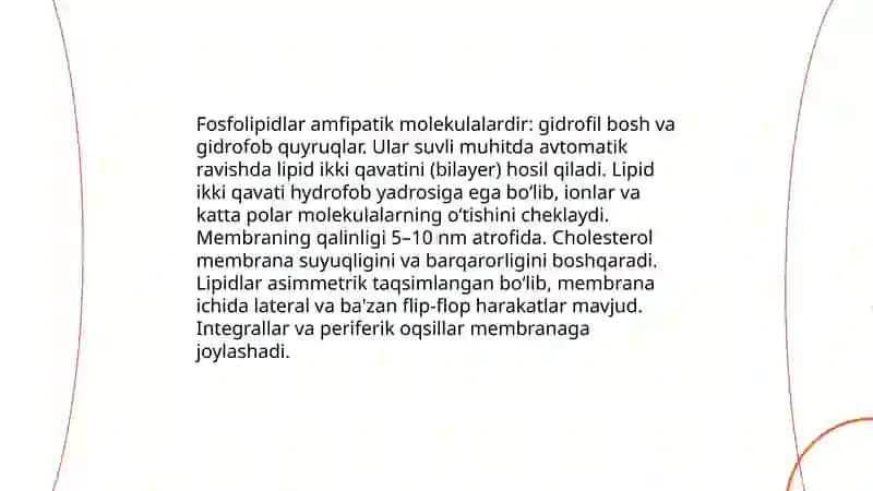 Plazmolemma va biologik membranalar tuzilishi 4
