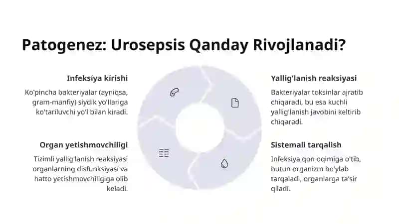 Urosepsis 4
