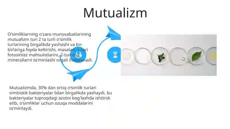 O'simliklarning o'zaro ta'siri 4