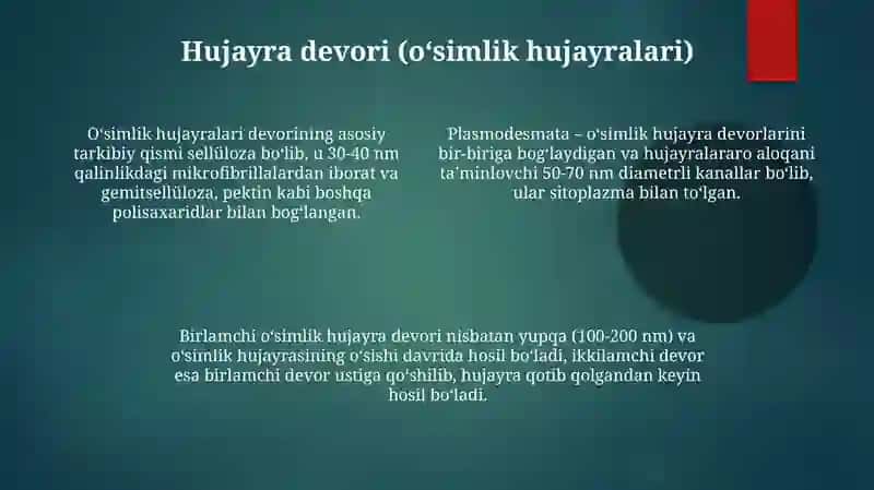 Eukariyot hujayralarning ultratrukturaviy tuzlishi 4