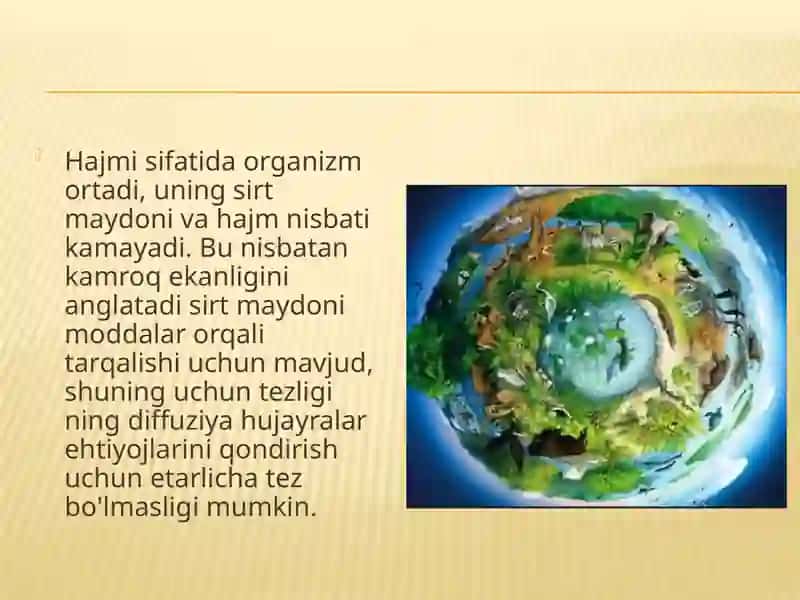 Tirik organizmlarda sirt hodisalari va xromatografiya 4
