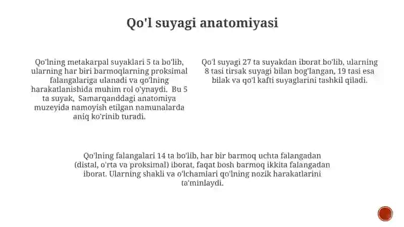 Chanoqning funktsional harakatlari 4