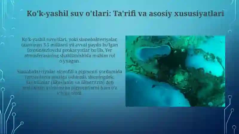 Ko'k-yashil suv o'tlari boʻlimiga kirish 4