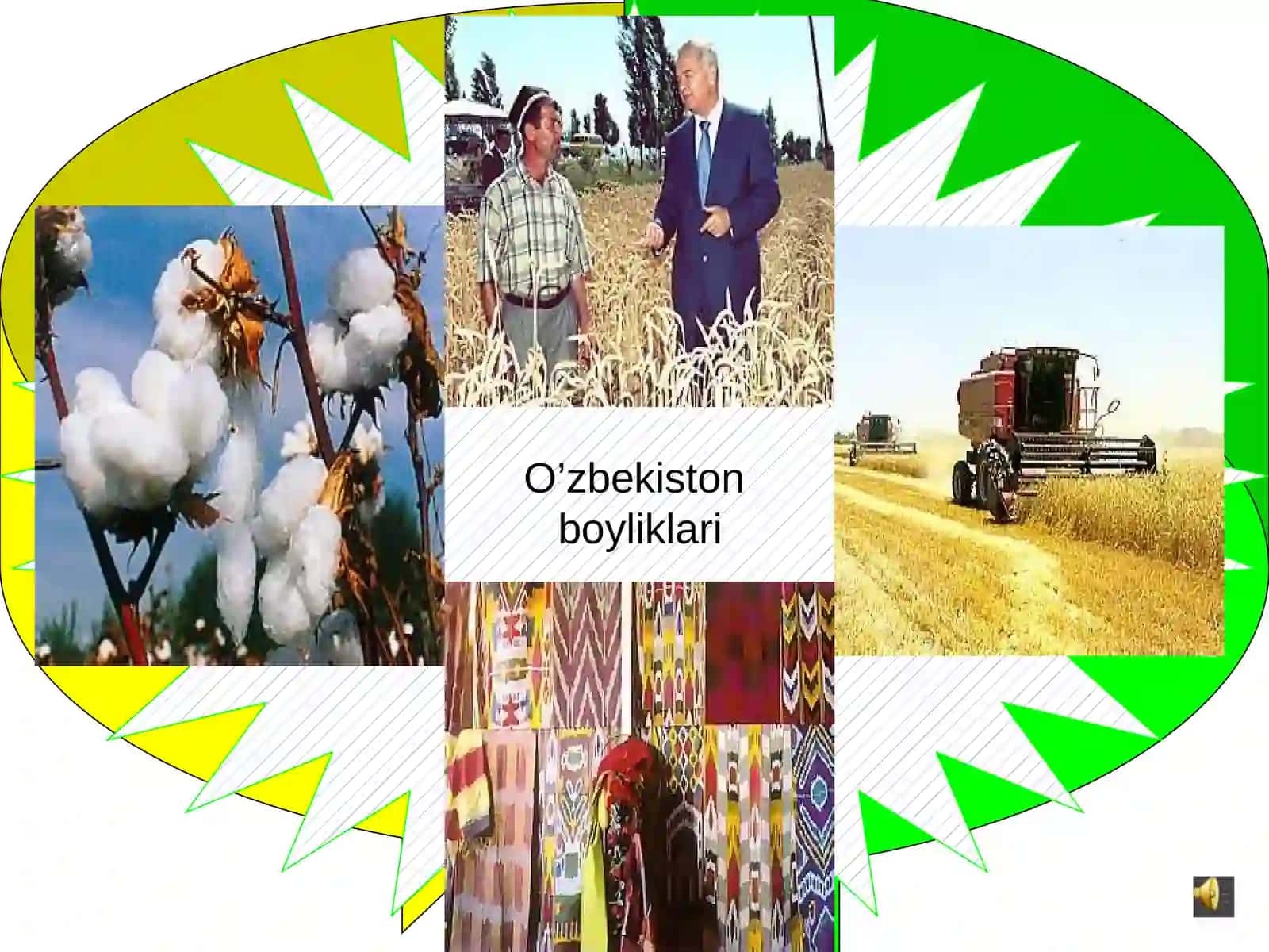 3-sinf Ona tili fanidan O'zbekiston boyliklari dars ishlanma 4
