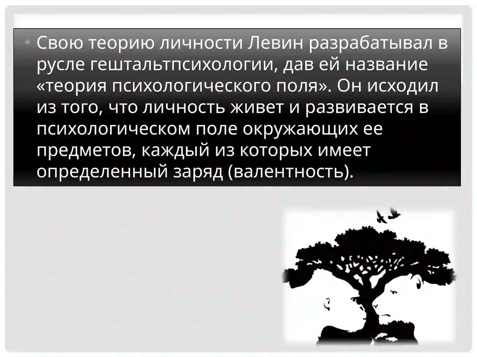 Курт Левин — жизненное пространство.Теория поля 4