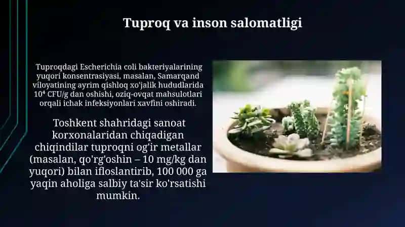 Tuproqning gigienik va epidedemiologik axamiyati 4
