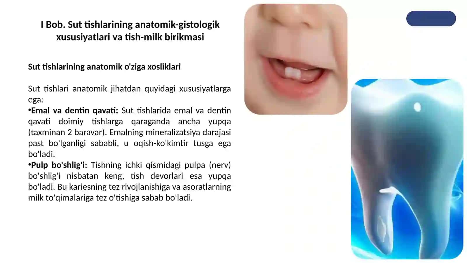 Tish-milka yig'lanma bog'lamlari va periodont shakllanishi bosqichlari 4