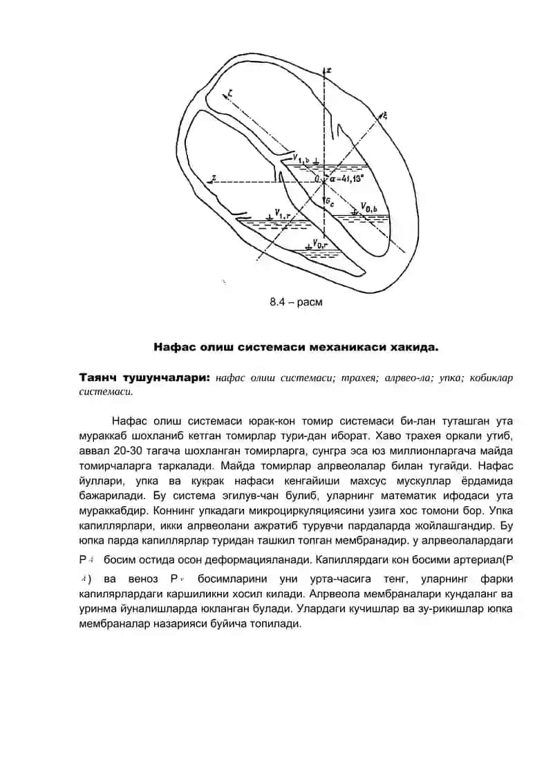 Юрак биомеханикаси 4