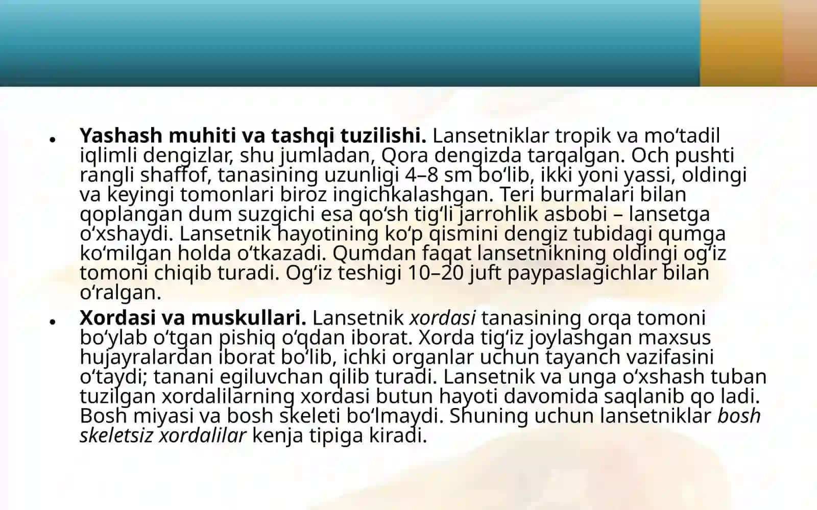 Lansetnik – tuban tuzilgan xordali hayvon 4