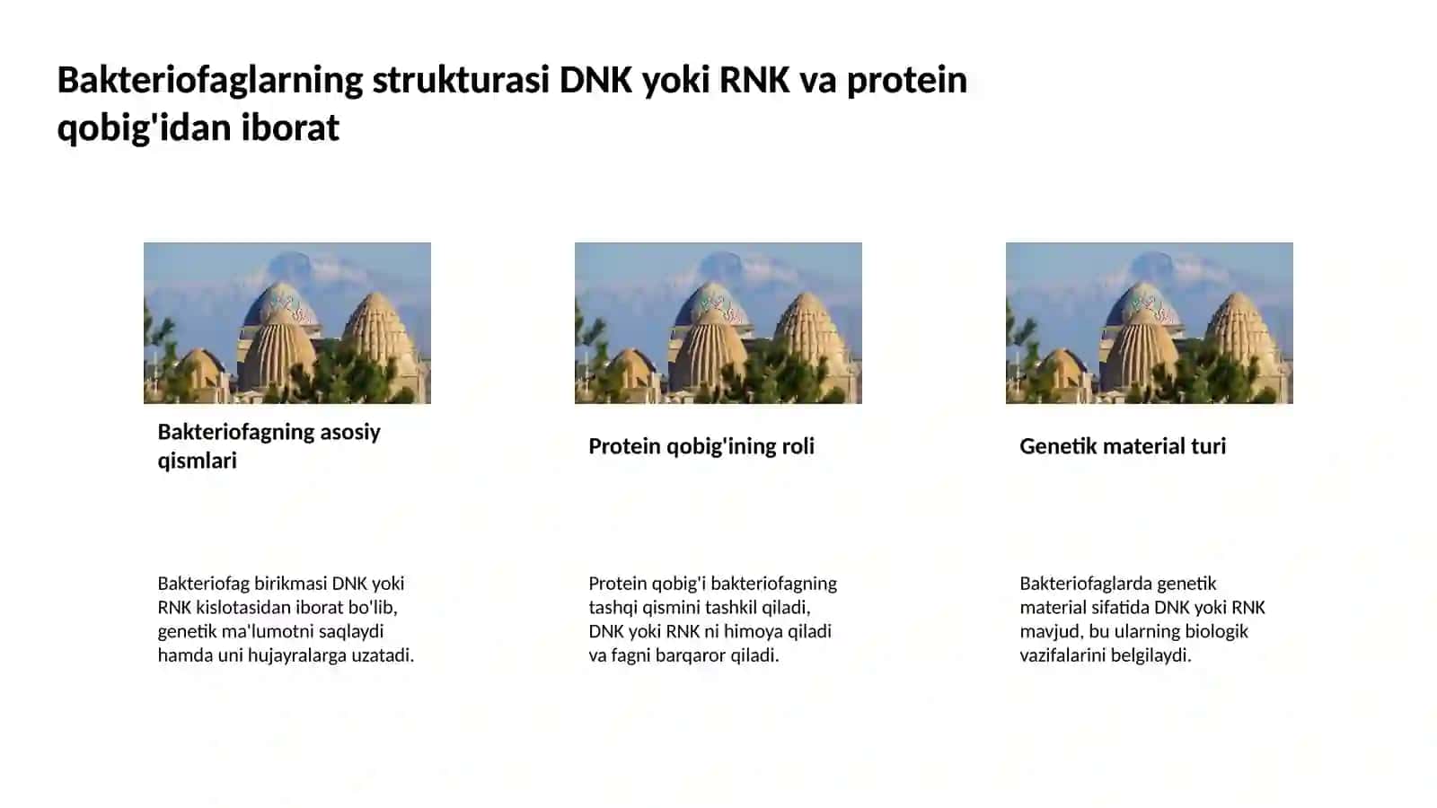 Bakteriofaglar, morfologiyasi, strukturasi, repraduksiyasi, amaliyotda (davolashda, identifikatsiyada, profilaktikada) qo’llanilishi 4