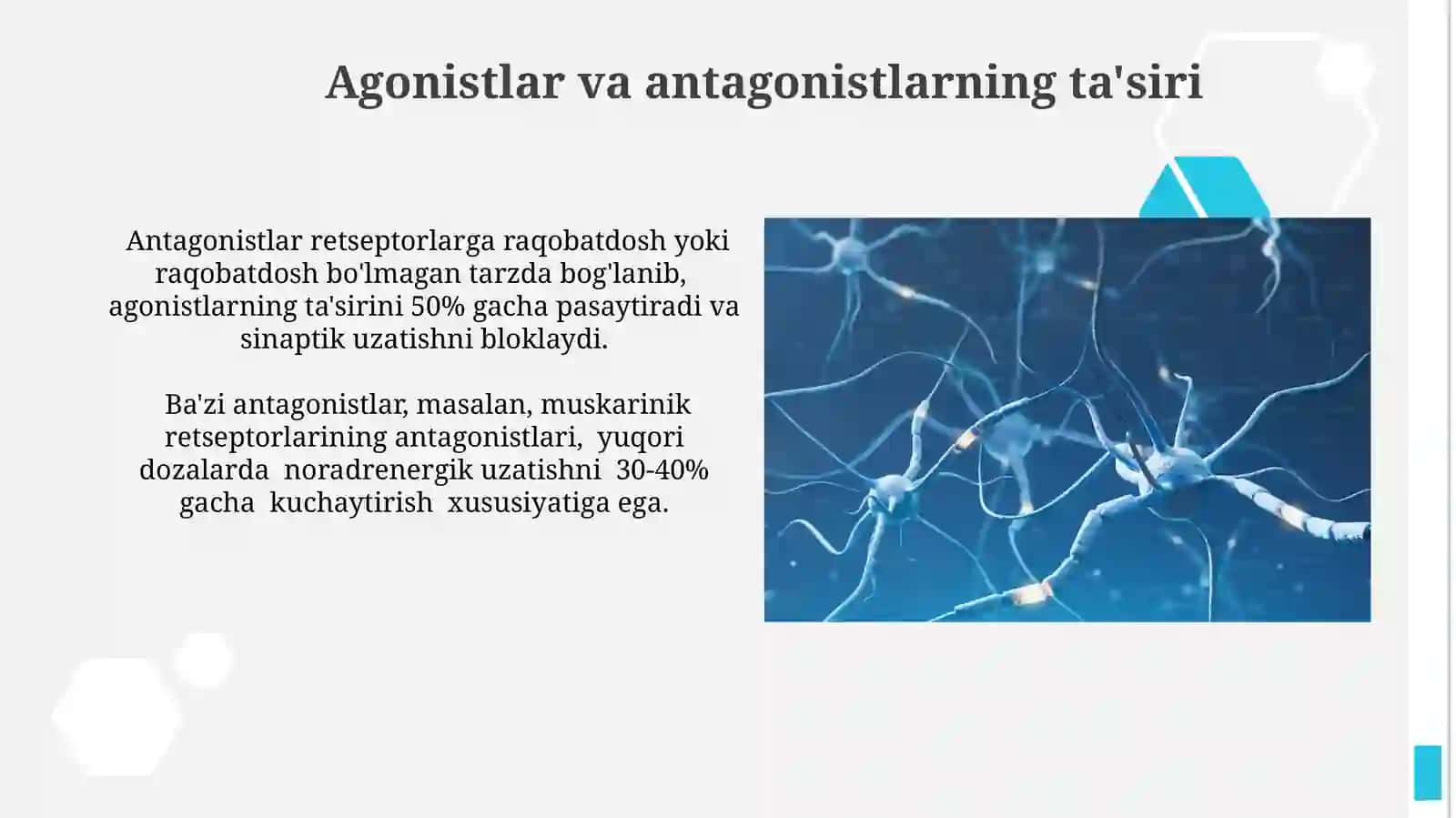 Sinapslarning turli moddalarga sezgirligi 4