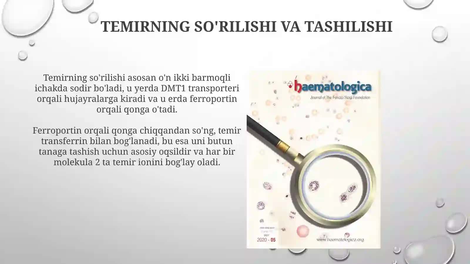 Temir almashinuvi,gemostaz 4