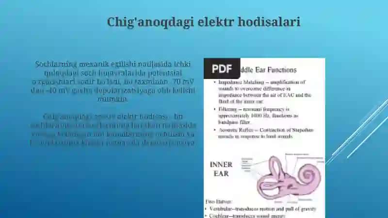 Eshituv va vestibulyar analizatorlar fiziologiyasi 4