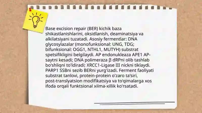 Reparatsiya fermentlari faoliyatining xilma xilligi 4