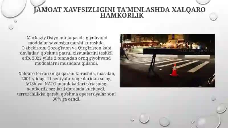 Jamoat xavfsizligi va jamoat xavfsizligiga qarshi jinoyatlar 4