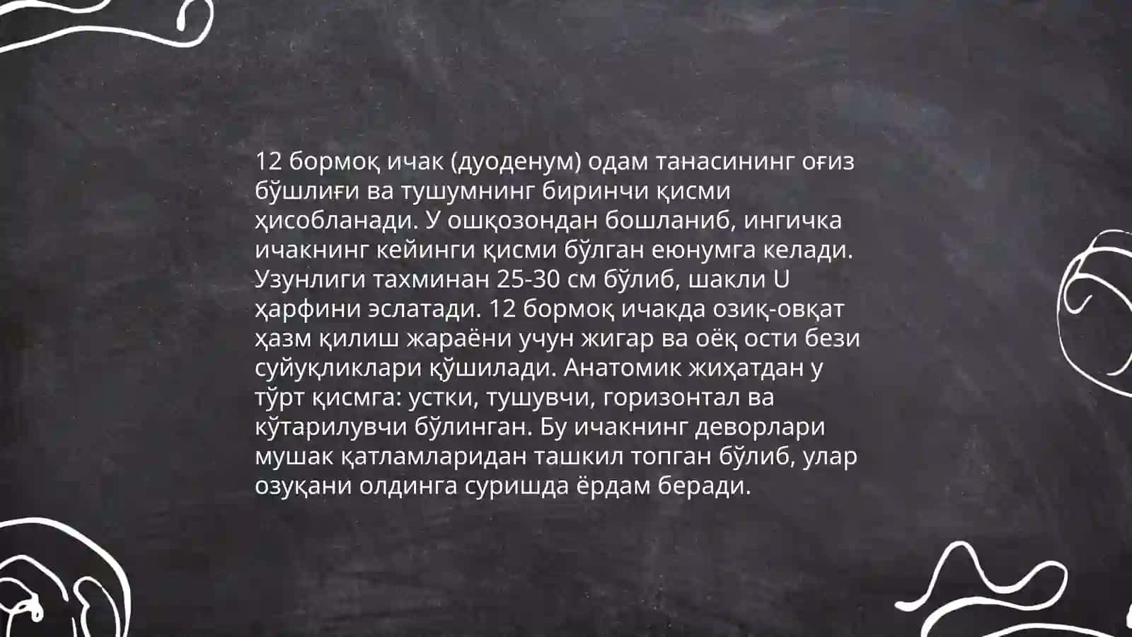12 barmoq yo'g'on ichaklar tuzilishi 4