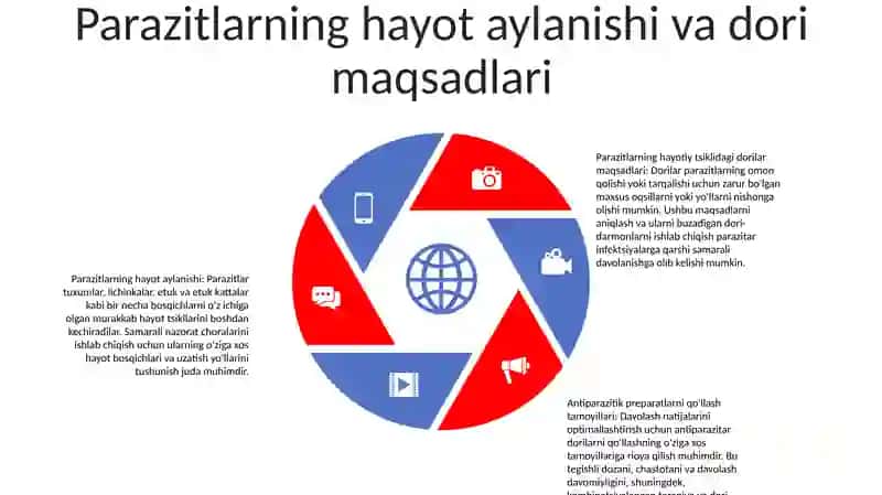 Bezgakka Qarshi Dori Vositalarini QoʻLlash Tamoyillari 4