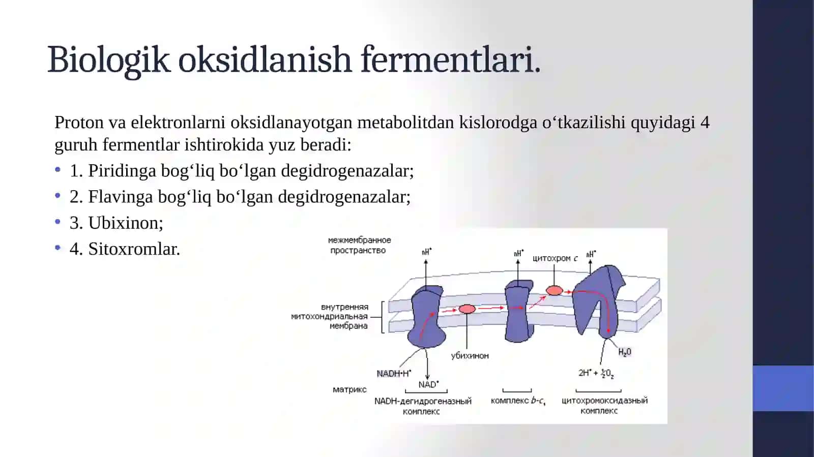 Biologik oksidlanish. Oksidlanish bilan boruvchi fosforillanish va biologik oksidlanishning boshqarilishi 4