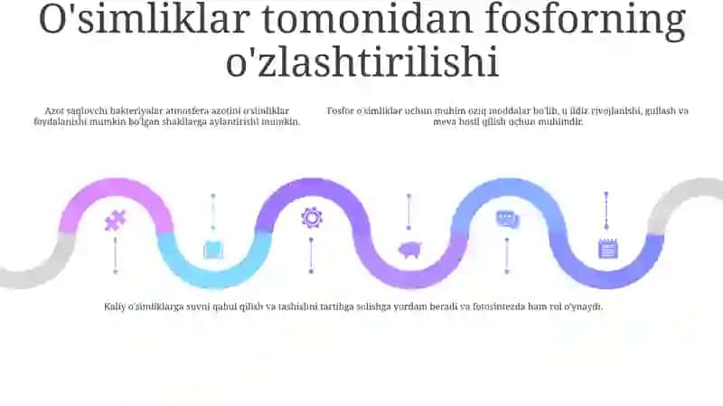 Fosforli O'G'Itlarning Qo'Llash Muddatlarining O'Simlikning Hosili Va Sifatiga Ta'Siri 4