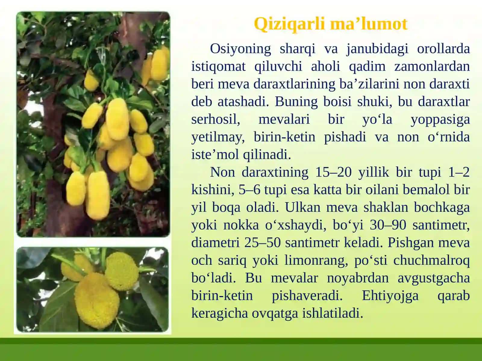 30-mavzu: Buterbrod. Buterbrod tayyorlash texnologiyasi. Issiq va yaxna ichimliklar 4
